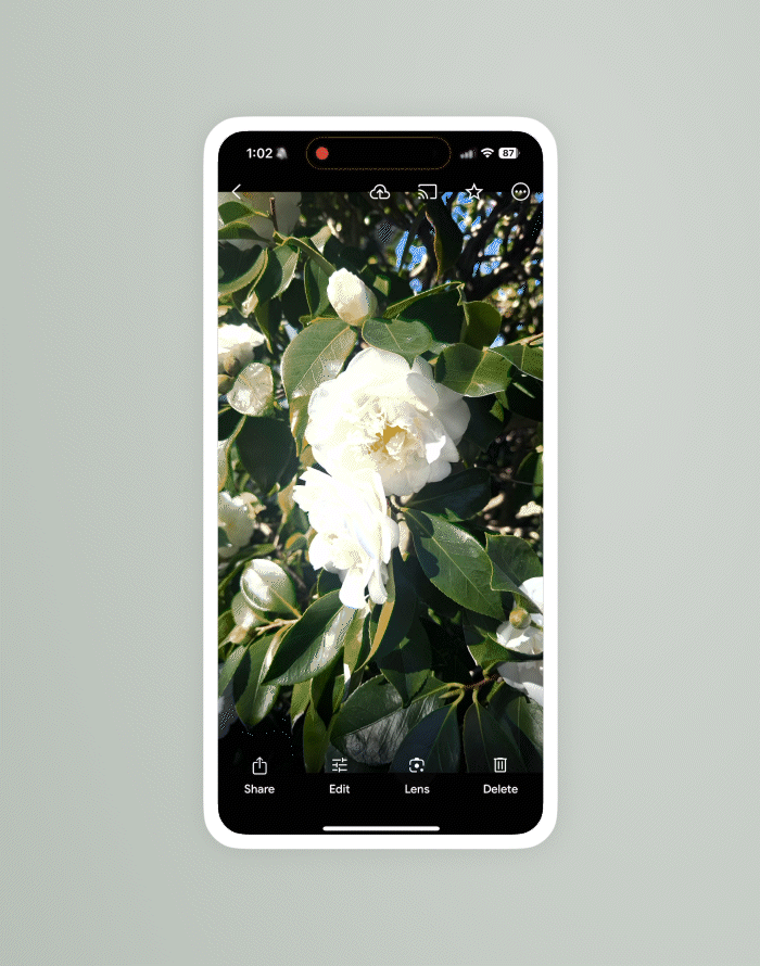 narrow-lens-photos narrow-lens-photos